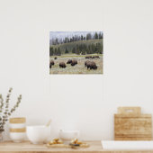 Poster Bison dans la vallée Hayden de Yellowstone (Cuisine)