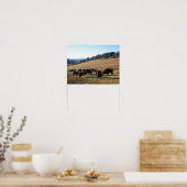 Poster Bison dans le Colorado (Cuisine)