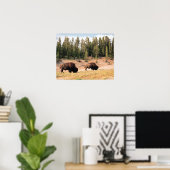Poster Bison dans le parc national de Yellowstone, Wyomin (Bureau à domicile)
