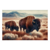 Poster Bison d'aquarelle sur les plaines (Devant)
