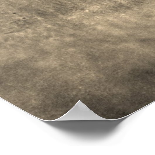 Poster Bison de Badlands (Coin)