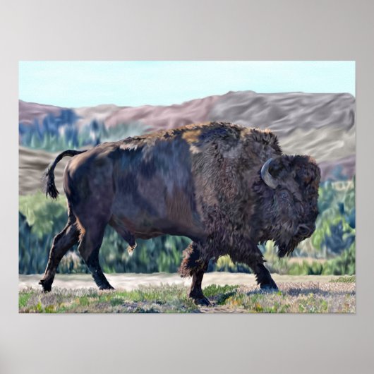 Poster Bison de Buffalo américain (Devant)