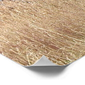 Poster Bison de source chaude (Coin)