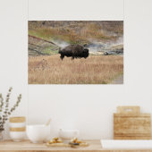 Poster Bison de source chaude (Cuisine)