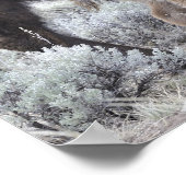 Poster Bison de vache et de veau, Yellowstone (Coin)