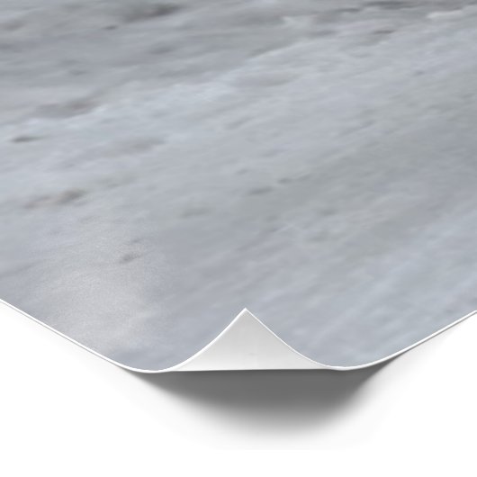 Poster Bison de Yellowstone (Coin)