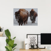 Poster Bison de Yellowstone (Bureau à domicile)