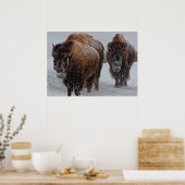 Poster Bison de Yellowstone (Cuisine)