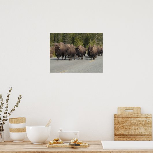 Poster Bison de Yellowstone (Cuisine)