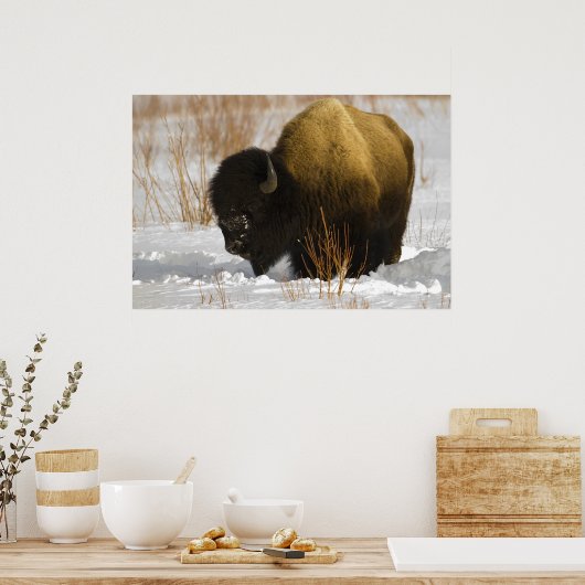 Poster Bison de Yellowstone dans la vallée de Lamar (Cuisine)