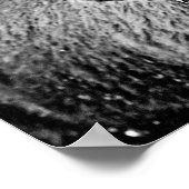 Poster Bison de Yellowstone gelé (Coin)