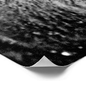 Poster Bison de Yellowstone gelé (Coin)