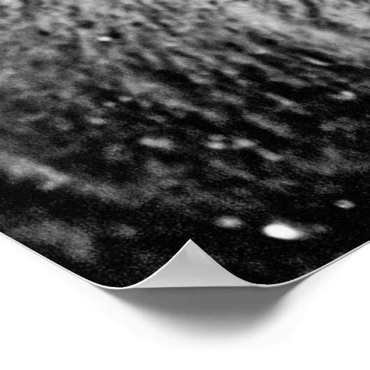 Poster Bison de Yellowstone gelé (Coin)