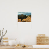 Poster Bison en Foreground Mountains Nouveau-Mexique (Cuisine)