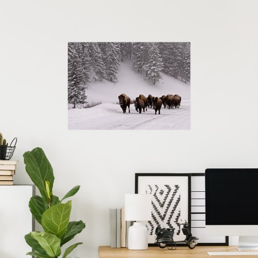 Poster Bison en hiver (Bureau à domicile)