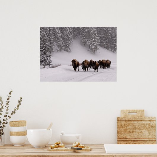 Poster Bison en hiver (Cuisine)