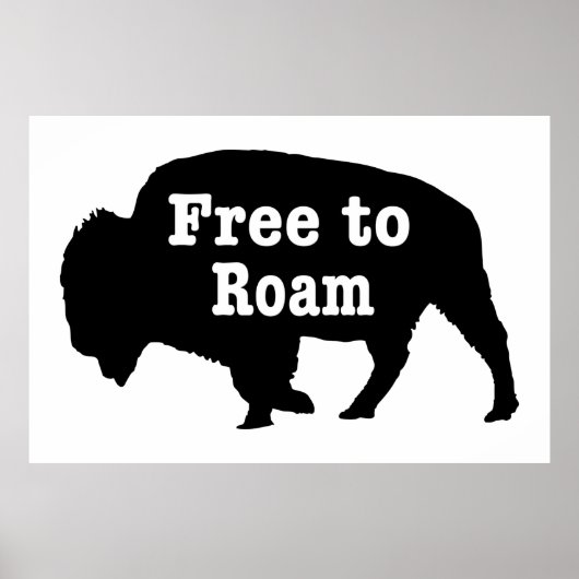 Poster Bison libre de Roam (Devant)