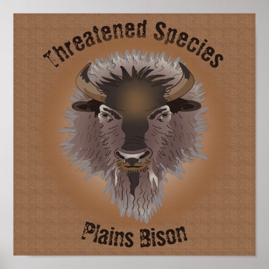 Poster Bison rustique des plaines de l'Ouest (Devant)