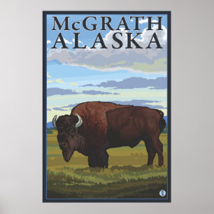 Poster Bison Scene - McGrath, Alaska