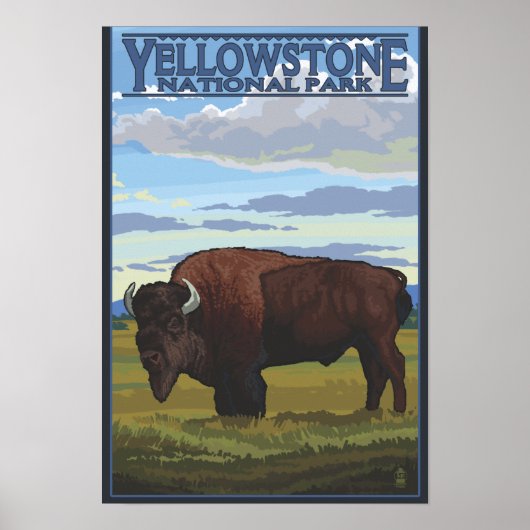 Poster Bison Scene - Parc national de Yellowstone (Devant)