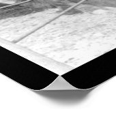 Poster Bison Staring at Children 1899 (Coin)