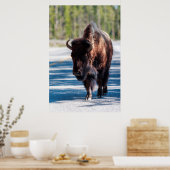 Poster Bison sur la route dans le parc national Yellowsto (Cuisine)