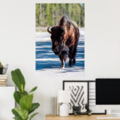 Poster Bison sur la route dans le parc national Yellowsto (Bureau à domicile)