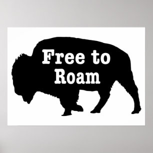 Poster Bisons libres de se promener