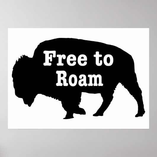 Poster Bisons libres de se promener (Devant)
