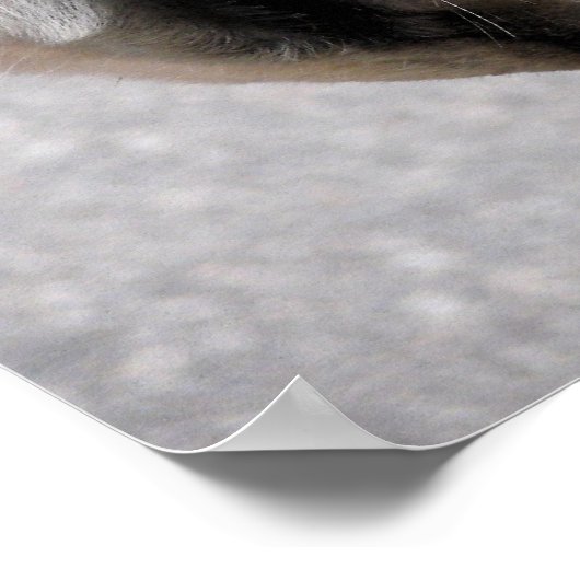 Poster Bit de conduite (Coin)