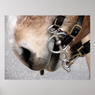 Poster Bit de conduite