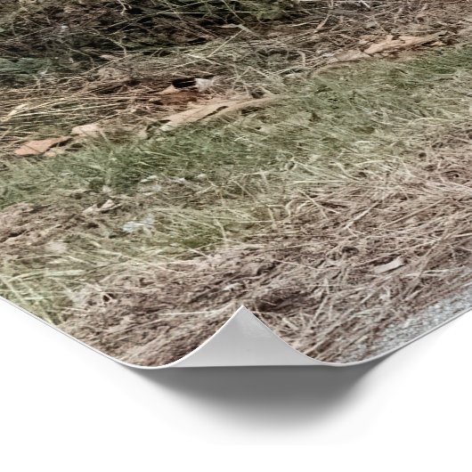 Poster Bit of Work (Coin)