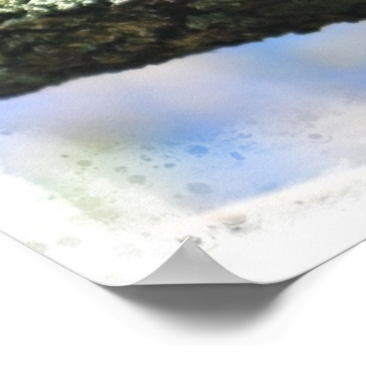 Poster Bitd in tree Sojourner Vérité citation (Coin)