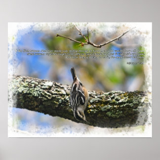 Poster Bitd in tree Sojourner Vérité citation