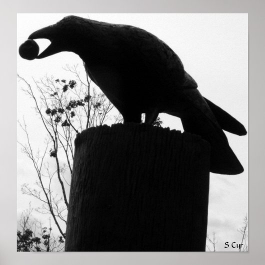 Poster Bite de Raven, S Cyr (Devant)