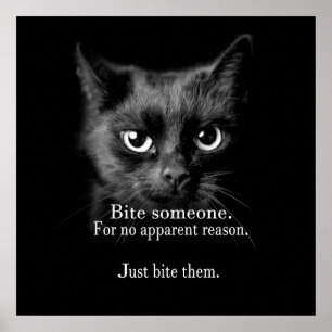 POSTER BITE EM.. FAIS-LE !