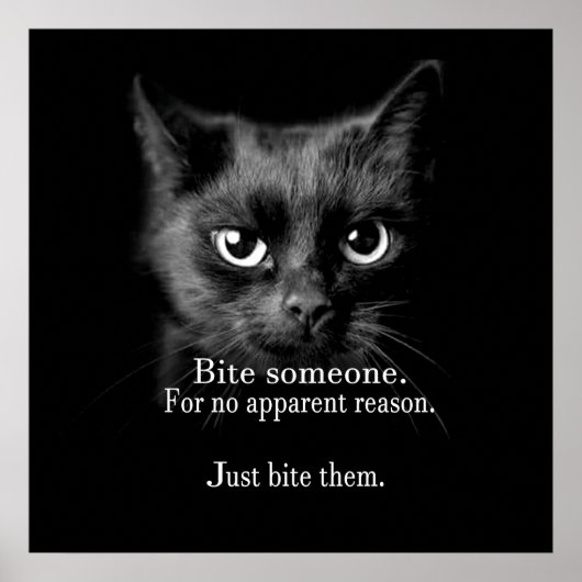 POSTER BITE EM.. FAIS-LE ! (Devant)