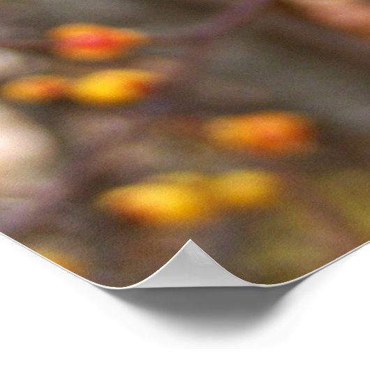 Poster Bittersweet (Coin)