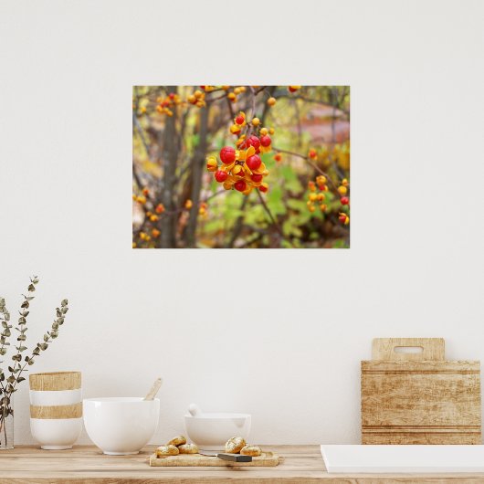 Poster Bittersweet (Cuisine)