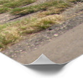 Poster Biz Jet à Tuscon (Coin)