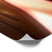 Poster BizarreÉgypte 11 (Coin)