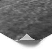 Poster Black and White 1968 German Sheep Herder (Coin)