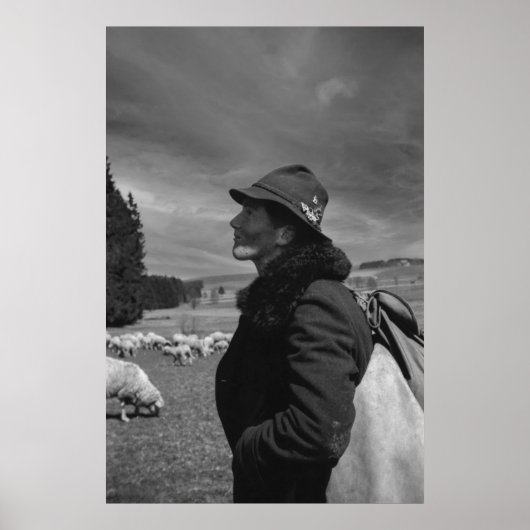 Poster Black and White 1968 German Sheep Herder (Devant)