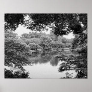 Poster Black and white, cool, unique nature et lake