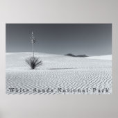 Poster Black and White Desert Sand Dunes with Yucca (Devant)