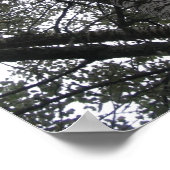 Poster Black and white in nature (Coin)