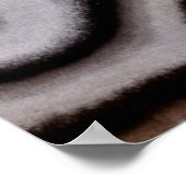 Poster Black and white Jasper stone (Coin)