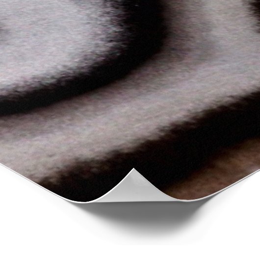 Poster Black and white Jasper stone (Coin)