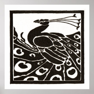 POSTER BLACK AND WHITE PEACOCK