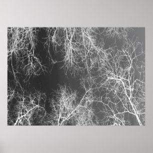 Poster Black and white silhouetted trees